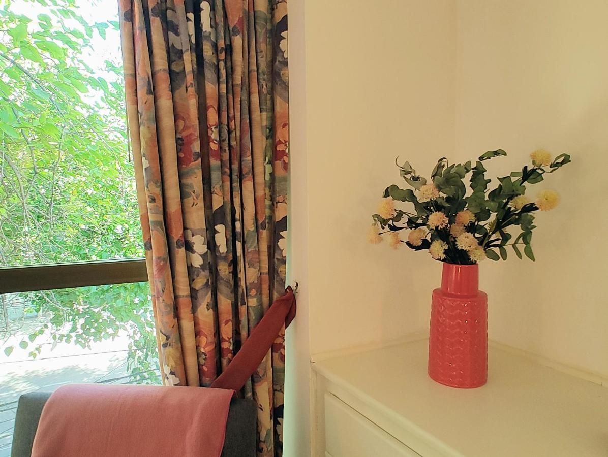 Terrazas De Colon 8 Apartment Мендоса Екстериор снимка